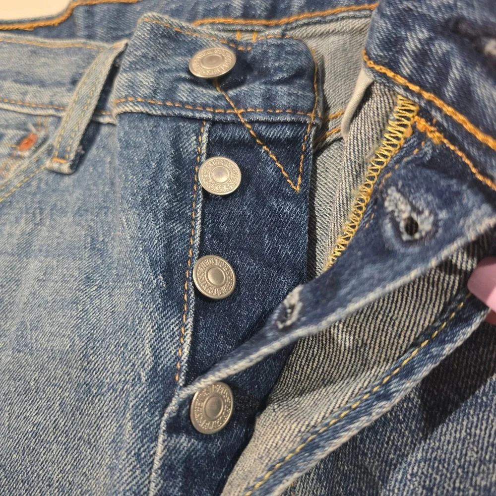 Levis levi strauss